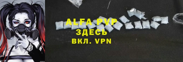 стаф Заводоуковск