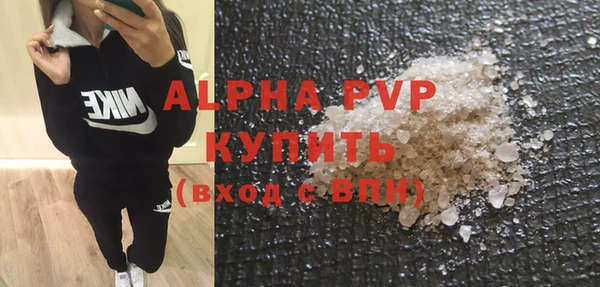 стаф Заводоуковск