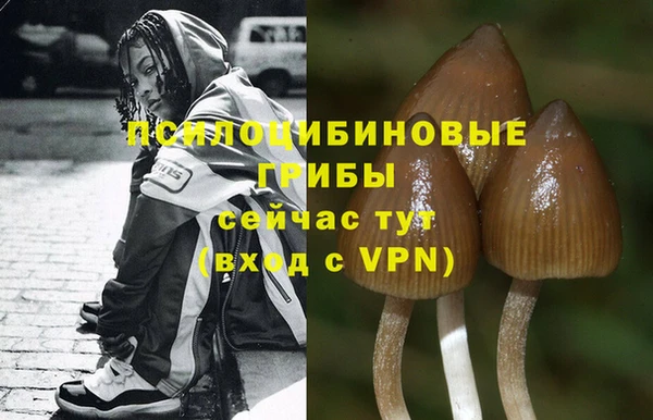 альфа пвп Заволжск
