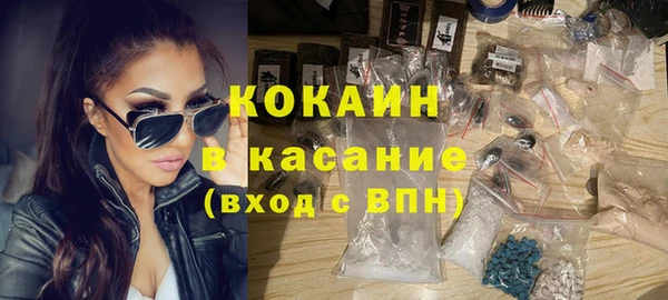 стаф Заводоуковск