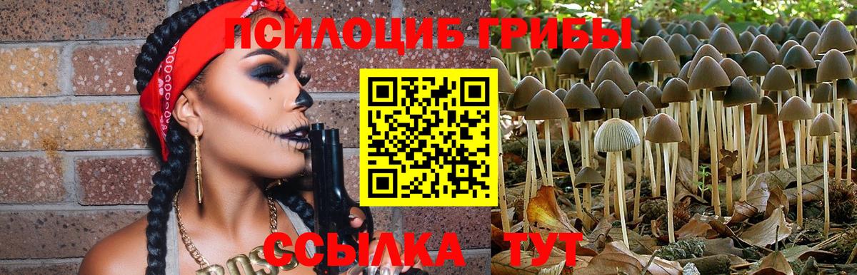 МДМА Выборг