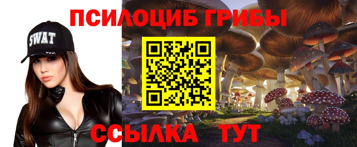 Галлюциногенные грибы Cubensis  Вход с VPN  Выборг 